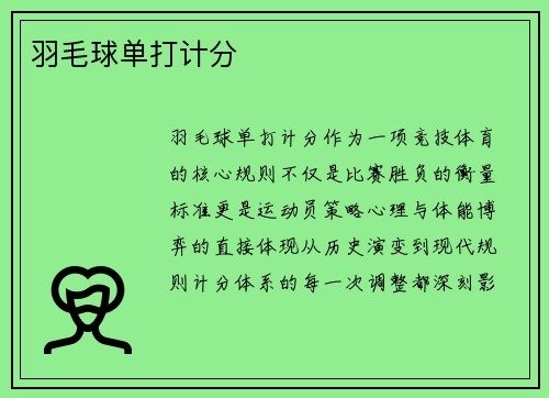 羽毛球单打计分