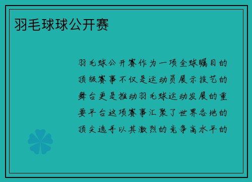羽毛球球公开赛
